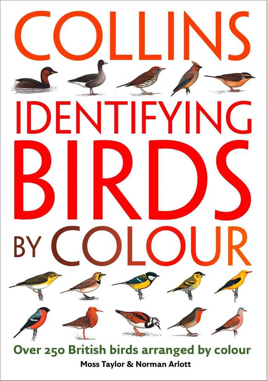 Identifying Birds by Colour - cover