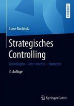 Strategisches Controlling: Grundlagen - Instrumente - Konzepte