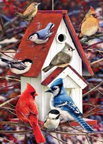 Cobble Hill puzzle 1000 pieces - Winter Birdhouse