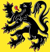 Belgoshop Vlag Vlaanderen