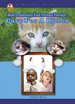 Care for a Pet Kitten