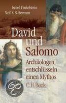 David Und Salomo