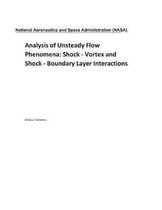 Analysis of Unsteady Flow Phenomena