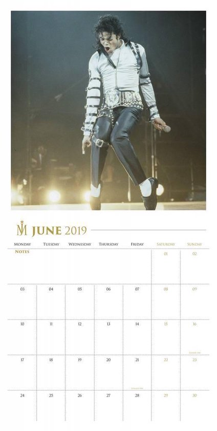 Michael Jackson Collectors Edition Kalender 2019 Record Sleeve Cover - Danilo