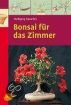 Bonsai für das Zimmer