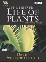 Private Life Of Plants