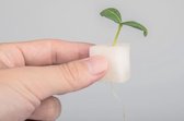 VegeBOX kweek sponjes voor Hydrocultuur (30p stuks)