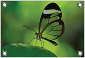 Tuinposter –Doorzichtige Vlinder– 90x60 Foto op Tuinposter (wanddecoratie voor buiten en binnen)