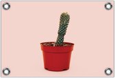 Tuinposter –Cactus in een Rode Pot– 90x60 Foto op Tuinposter (wanddecoratie voor buiten en binnen)