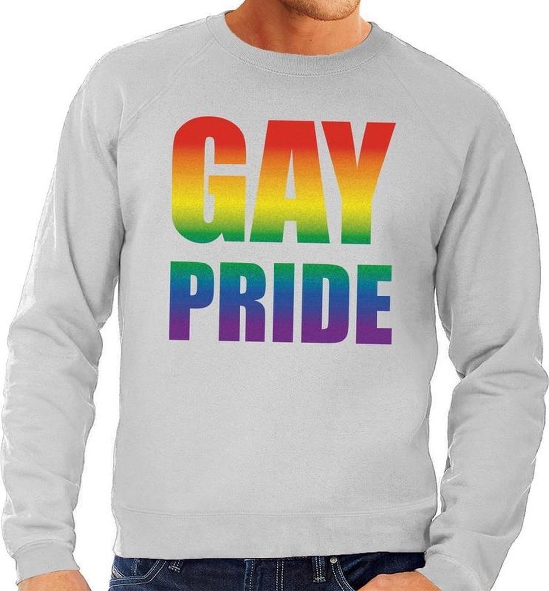 Afbeelding van product Bellatio Decorations  Gay pride regenboog sweater grijs - homo sweater voor heren - gay pride XL  - maat XL