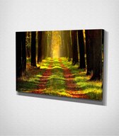 Road In The Forest Canvas - 100 x 70 cm - Landschap - Schilderij - Canvas - Slaapkamer - Wanddecoratie  - Slaapkamer - Foto op canvas