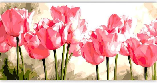 slim stikstof Superioriteit Schilderen op nummer Volwassenen Tulpen - 40 x 50 centimeter | bol.com