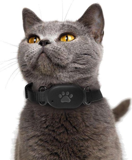 GPS Tracker For Katten Halsband Zonder Abonnement Kleine Katten Realtime Locatie Geen Simkaart Nodig Alleen Ios Waterdicht Black 2524597933