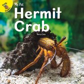 My Pet - Hermit Crab