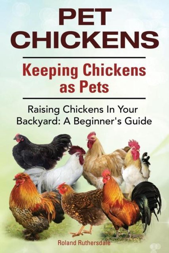 Pet Chickens. Keeping Chickens as Pets. Raising Chickens In Your