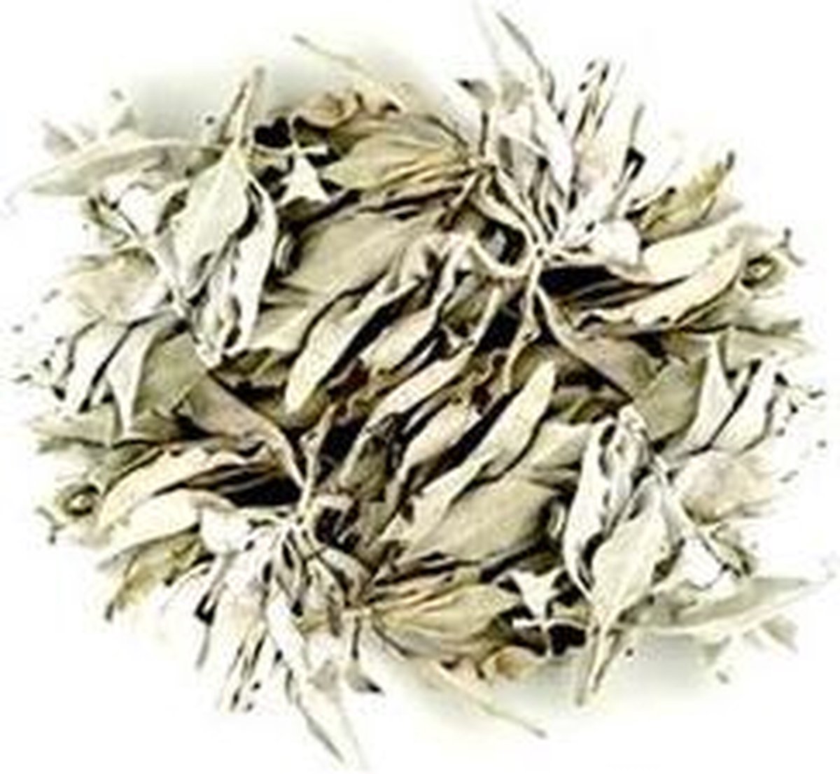 Witte Salie - 200  gram - White Sage – Smudge - GRATIS VERZENDING!! - Merkloos