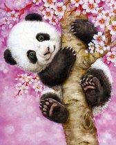 Schilderen op nummer Volwassenen - Panda in een boom - 40 x 50 centimeter