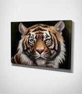 Tiger Canvas | 30x40 cm