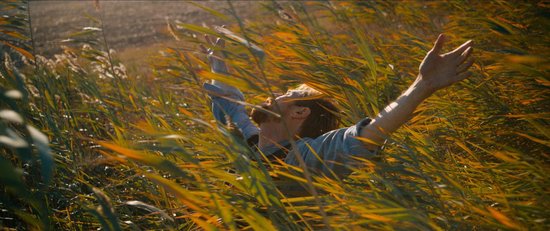 Willem Dafoe met armen omhoog in een veld met hoog gras onder een zonnige hemel.