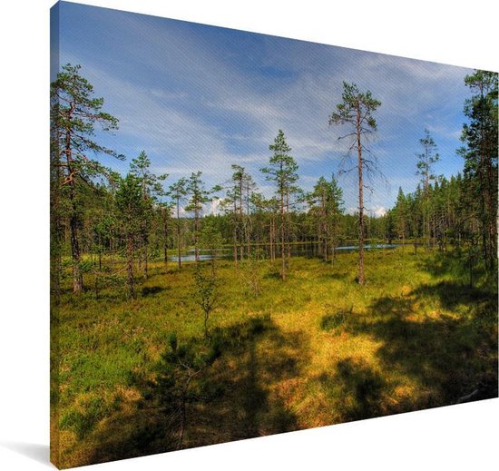 Grands arbres sur la bruyère dans le parc national de Skuleskogen en Suède Toile 120x80 cm - Tirage photo sur toile (Décoration murale salon / chambre)