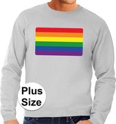 Grote maten  regenboog vlag sweater grijs voor heren 4XL