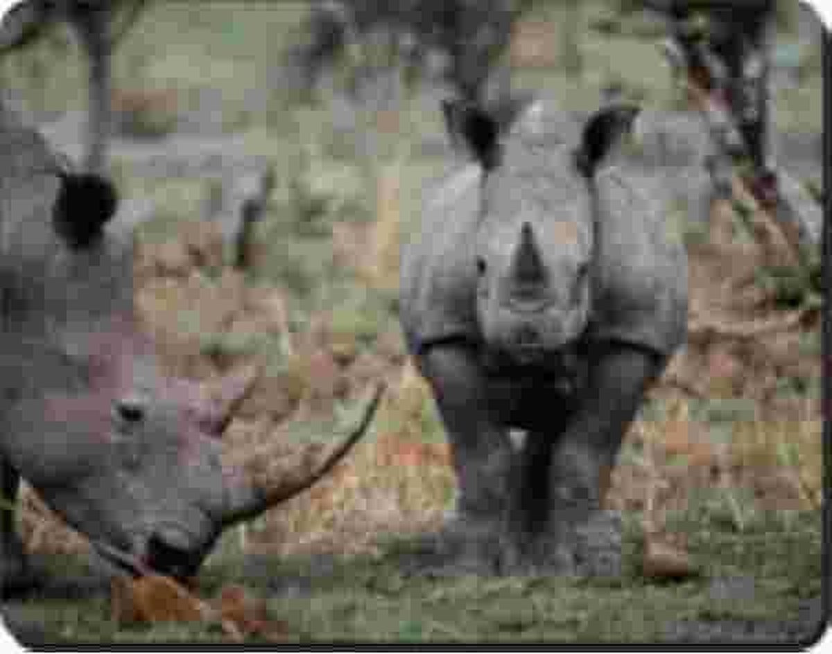 Neushoorn Muismat