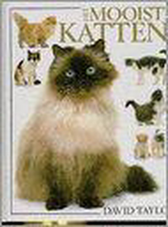9789051121254 - Het mooiste kattenboek