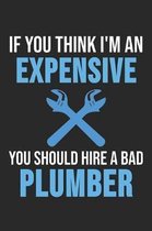 If You Think I'm An Expensive You Should Hire A Bad Plumber