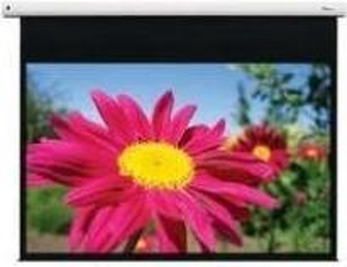 Optoma DE-1123EGA - Projectiescherm