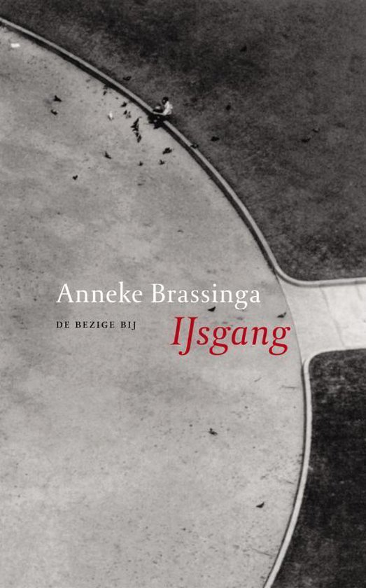 Cover van het boek 'IJsgang'