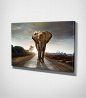 Elephant Walking On The Road Canvas | 30x40 cm