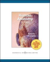 Human Anatomy