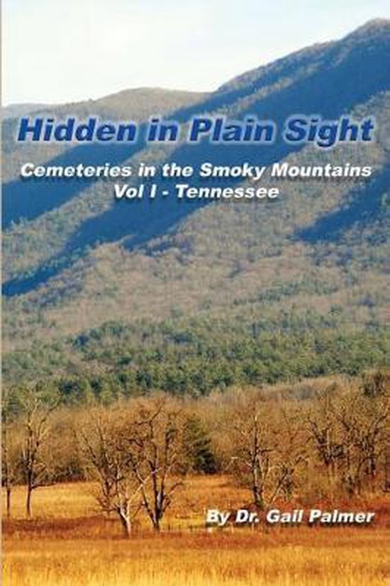 Hidden in Plain Sight, Gail Palmer 9780982373590 Boeken