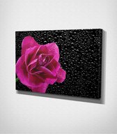 Pink Flower Canvas - 30 x 40 cm - Bloemen - Schilderij - Canvas - Slaapkamer - Wanddecoratie  - Slaapkamer - Foto op canvas