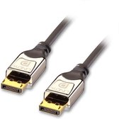 Lindy 41530 DisplayPort kabel 0,5 m Zwart, Zilver