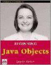 BEGINNING JAVA OBJECTS