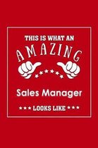 This is What an Amazing Sales Manager Look Like