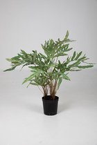 Phlebodium Varen - zijden plant - kantoorplant - topkwaliteit kunstplant - 80cm