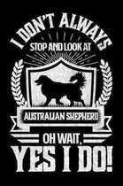 I Don't Always Stop and Look At Australian Shepard OH Wait, Yes I Do!