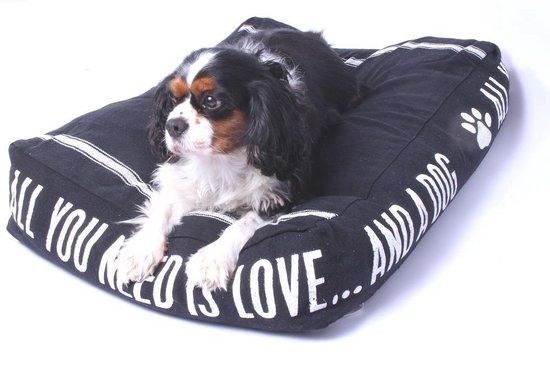 discretie Secretaris gevoeligheid Kussen Hond "All You Need is Love and a Dog" | bol.com