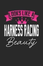 Looks Like a Harness Racing Beauty