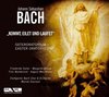 Bach, J.S.: Osteroratorium, Bwv 249 (Easter Orator