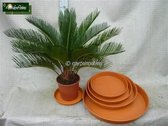 3x Onderschalen Ø 18 cm - Bloempot onderzetter - schotel
