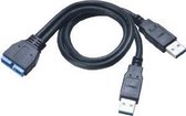 Akasa AK-CBUB12-30BK USB-kabel 0,3 m 2 x USB A Zwart