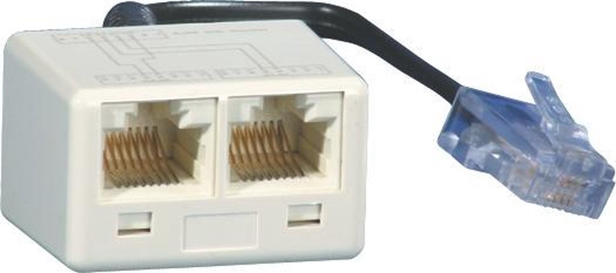 BTR NETCOM 130607440101-E tussenstuk voor kabels RJ-45 2x RJ-45 Wit
