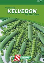 Graines Somers - Pois verts bas Kelvedon