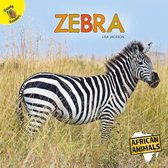 African Animals - Zebra