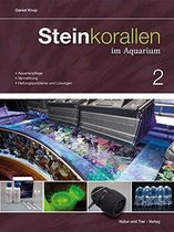 Steinkorallen im Aquarium 02