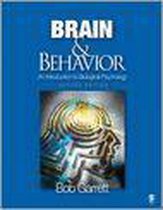 Brain And Behavior