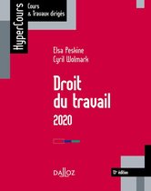 Droit du travail 2020 - 13e éd.